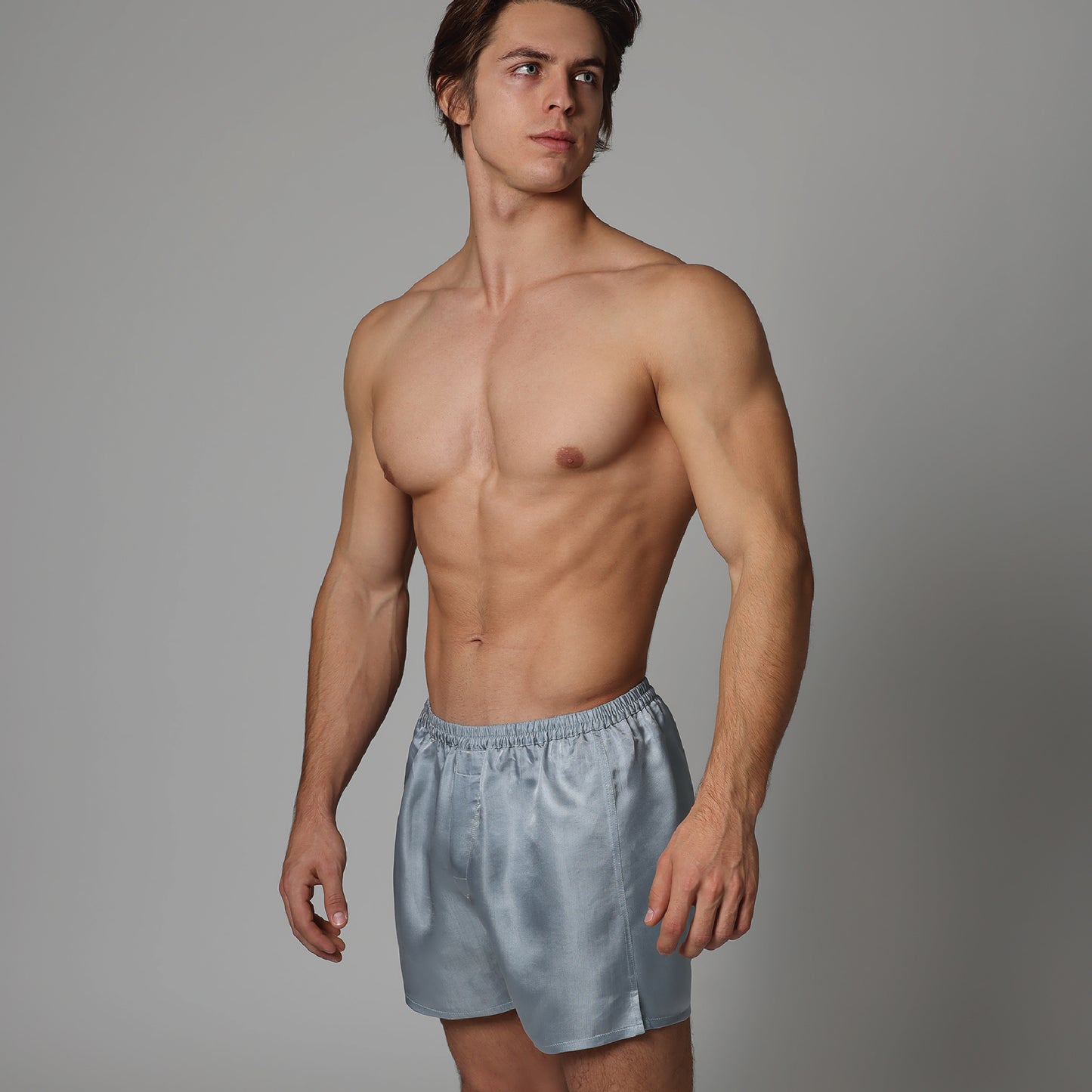 Silver Gray